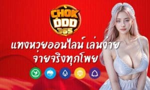 Chokdee 365 แทงหวยออนไลน์ เล่นง่าย จ่ายจริงทุกโพย